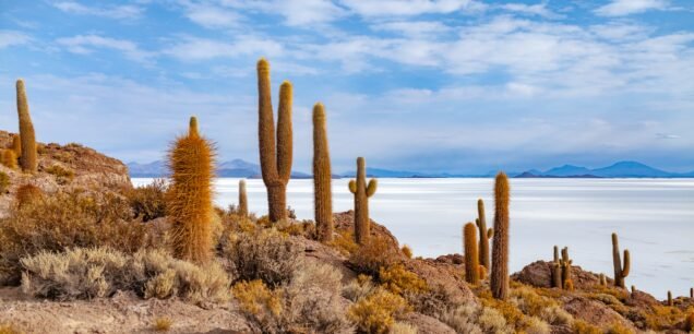 Uyuni